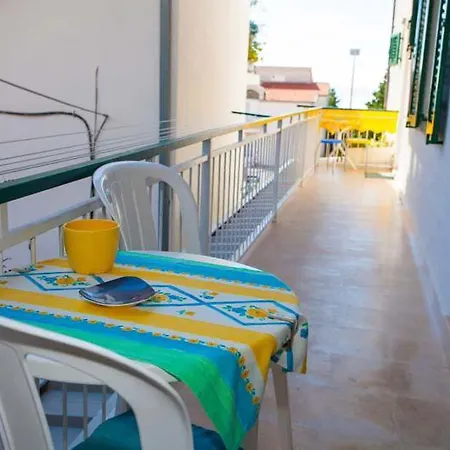 Apartman Jarak Near